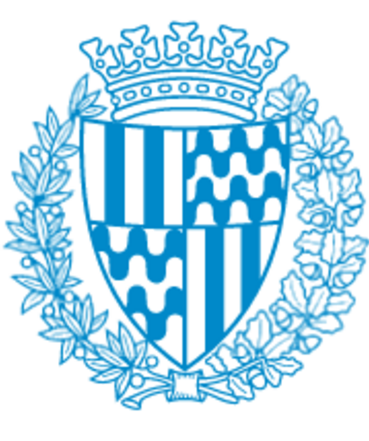 avatar Ajuntament de Badalona