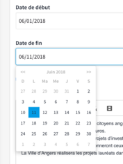 Datepicker doesn&#39;t display the right date format in french